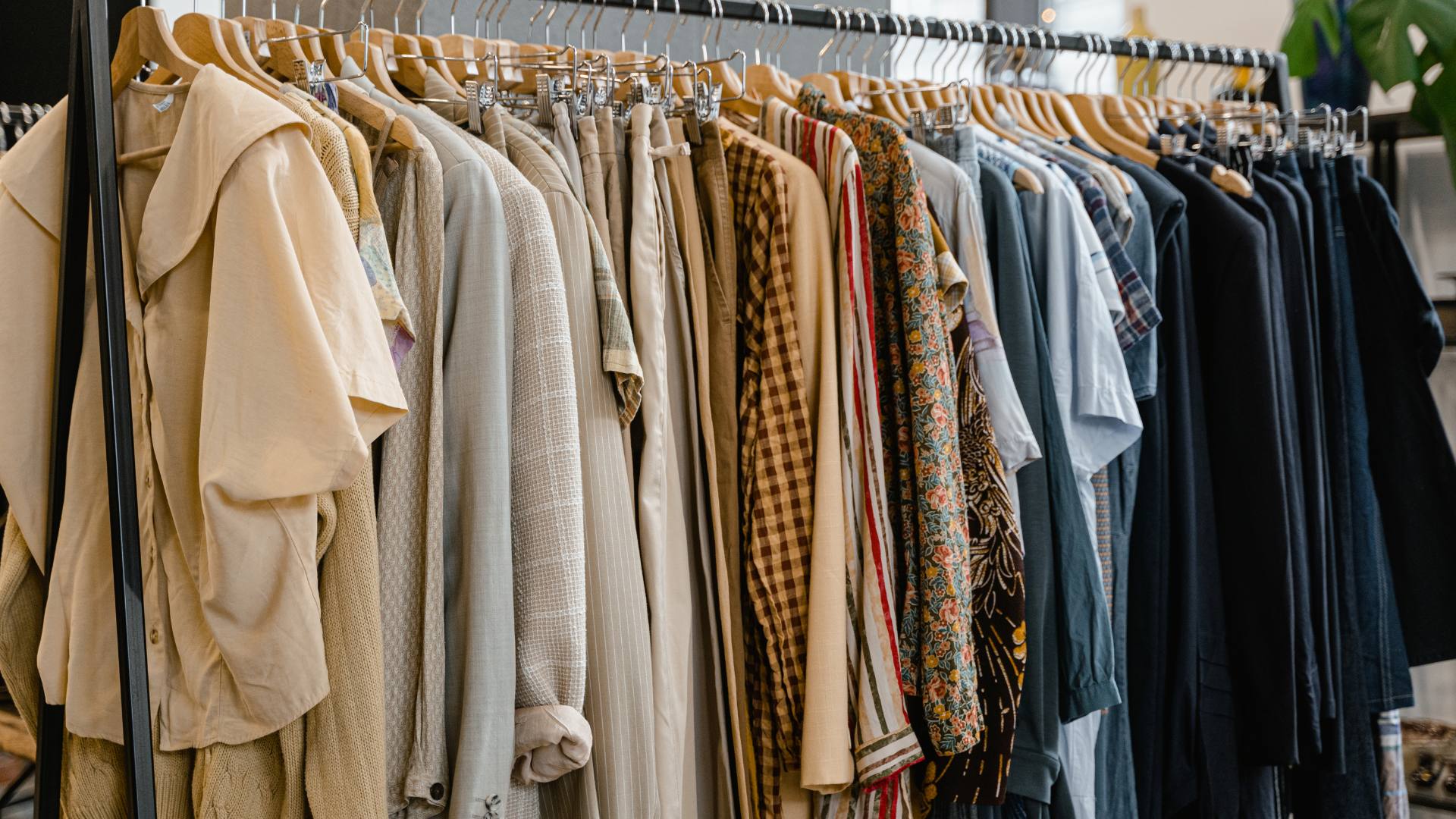 boutique vêtement